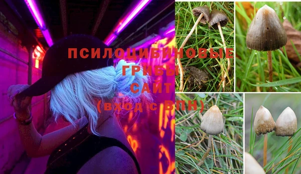 дживик Белоозёрский