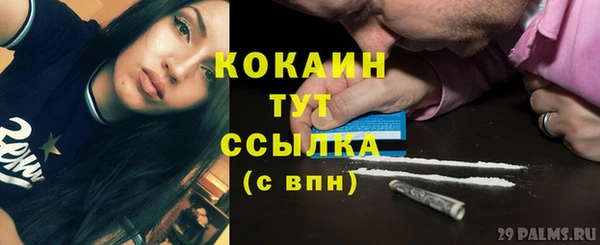 дживик Белоозёрский