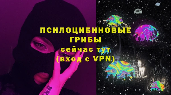 МДПВ Белокуриха